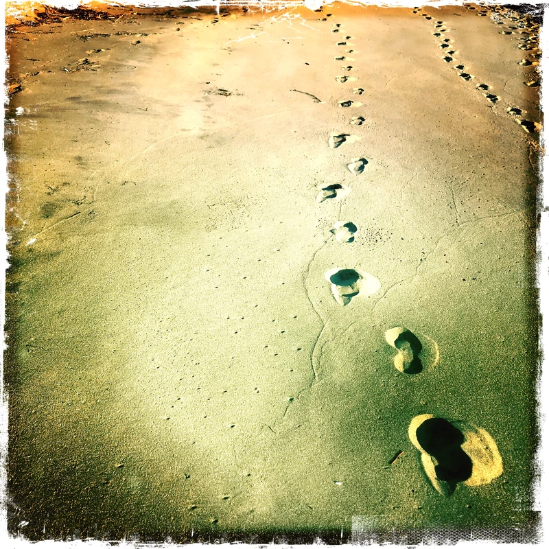 Voy caminando