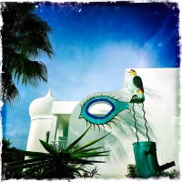 The eyes of relevation