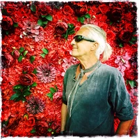 Bed Of Roses