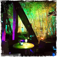 Bambuddha Grove
