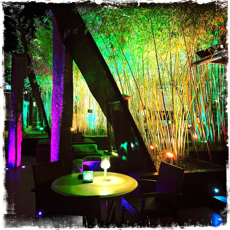 Bambuddha Grove